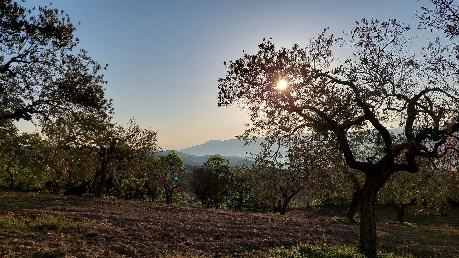 Gallery Castelbottaccio, Italy